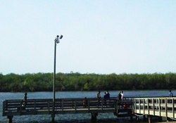 Dog Park in South Padre