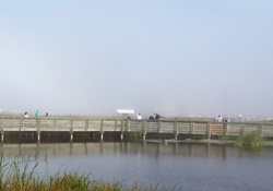 Andy Bowie Park, picture of a boardwalk on the water with people looking over and blue skies, dog friendly parks in South Padre, Texas, South Padre Island dog parks