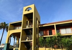 pet friendly hotel in south padre island, texas