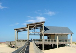 dog park in south padre island texas