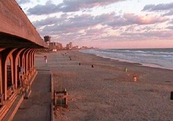 dog park in south padre