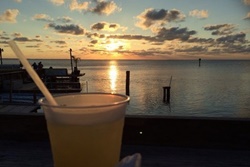 pet friendly restaurant in south padre