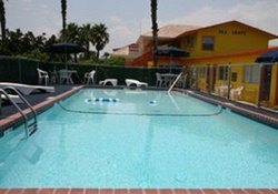 dog friendly hotel in south padre island, texas