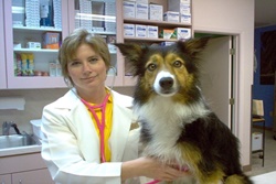 pet friendly veterinarian near south padre island texas