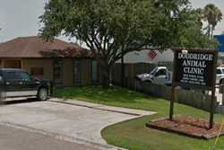veterinarian in south padre island texas