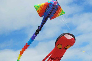 kite flying south padre