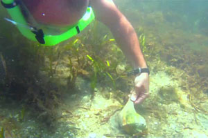 snorkeling south padre