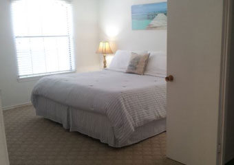 pet friendly by owner vacation rental in wouth padre island, tx