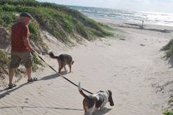 dog park in south padre