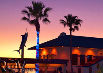 delicious seafood from sea ranch restaurant and bar south padre pet friendly restaurants